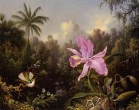 Heade, Martin Johnson - Orchid and Two Hummingbirds